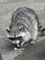 IMG_8615.jpeg