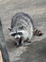 IMG_8616.jpeg