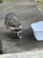 IMG_8617.jpeg