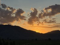 IMG_2161.jpeg