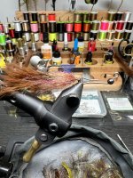 IMG_6277.jpeg