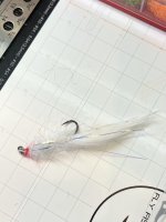 IMG_6276.jpeg