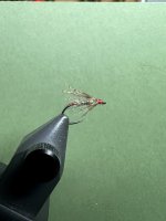 IMG_6284.jpeg
