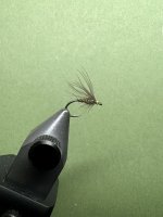 IMG_6294.jpeg