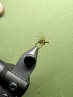 IMG_6295.jpeg