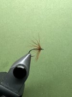 IMG_6296.jpeg