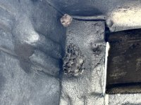 IMG_2170.jpeg