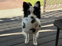 IMG_2168.jpeg