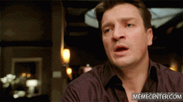 Are You Stupid GIF.gif