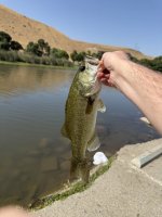 IMG_7952.jpeg