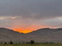IMG_2208.jpeg