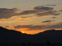 IMG_2230.jpeg