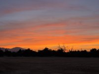 IMG_8555.jpeg