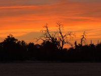 IMG_8556.jpeg