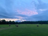 IMG_6326.jpeg