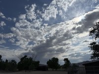 IMG_2241.jpeg