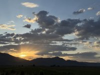 IMG_2256.jpeg