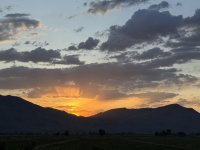 IMG_2262.jpeg