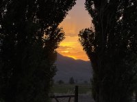 IMG_0951.jpeg
