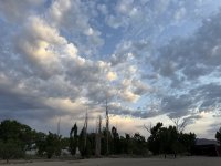 IMG_0950.jpeg