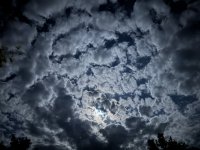 IMG_2272.jpeg