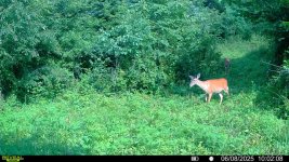 IMG_6337.jpeg