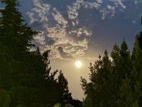 IMG_8608.jpeg