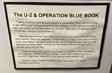 IMG_8711.jpeg