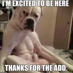 FB_IMG_1557370272530.jpg