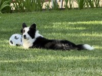 IMG_2165.jpeg