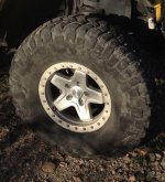 IMG_2306.jpeg