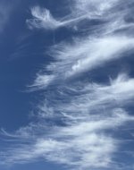 IMG_1628.jpeg