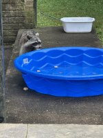 IMG_8742.jpeg