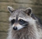 IMG_6755.jpeg