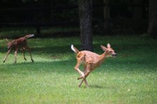 IMG_6727.jpeg