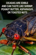 IMG_7198.jpeg