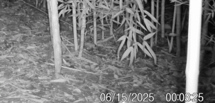 1000032897.gif
