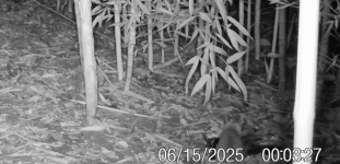 1000032898.gif