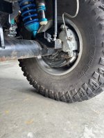 IMG_7199.jpeg