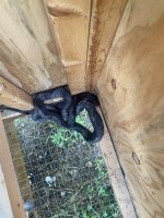 IMG_6428.jpeg