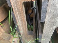 IMG_6431.jpeg