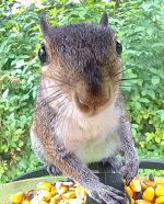 1000032952.gif