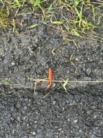 IMG_8754.jpeg