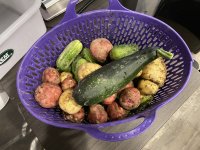 IMG_6440.jpeg