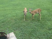IMG_8758.jpeg