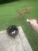 IMG_8762.jpeg