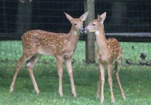 IMG_6764.jpeg