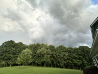 IMG_7225.jpeg