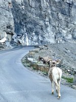 IMG_6413.jpeg