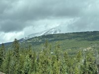 IMG_1279.jpeg